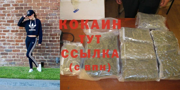 гидра Армянск