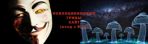дживик Арсеньев