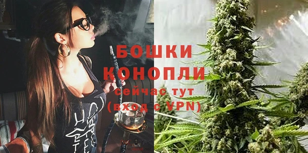 гидра Армянск