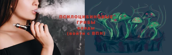 гидра Армянск