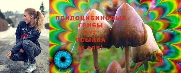 дживик Арсеньев