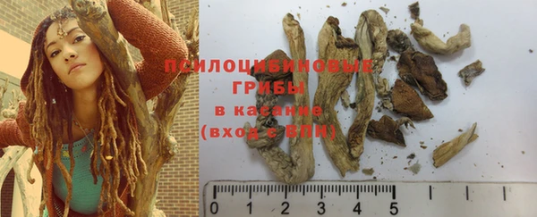 дживик Арсеньев