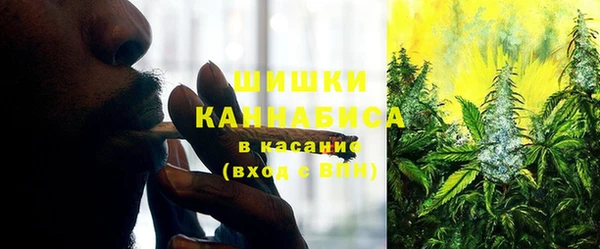 прущая мука Костерёво