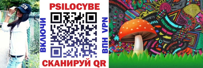Псилоцибиновые грибы Psilocybine cubensis  Новосиль 