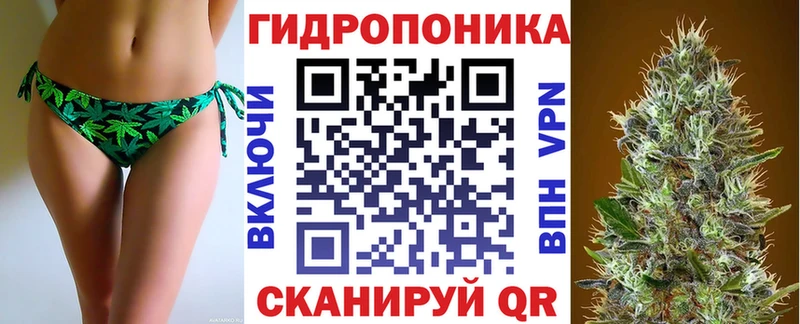 где найти   Новосиль  Каннабис MAZAR 